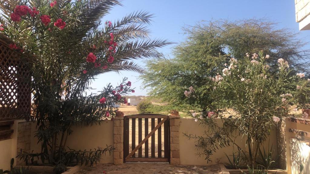 Attico Residence Costa Do Sol سال راي المظهر الخارجي الصورة
